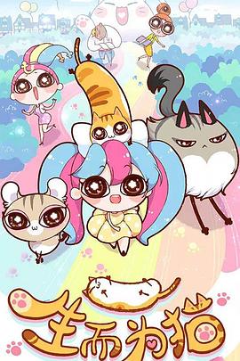 崇州seo优化推广